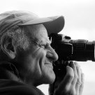 The Photographer